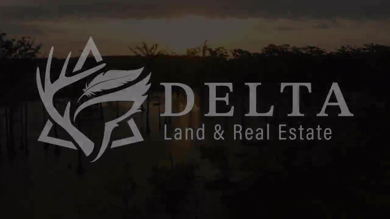 Delta Land & Real Estate logo