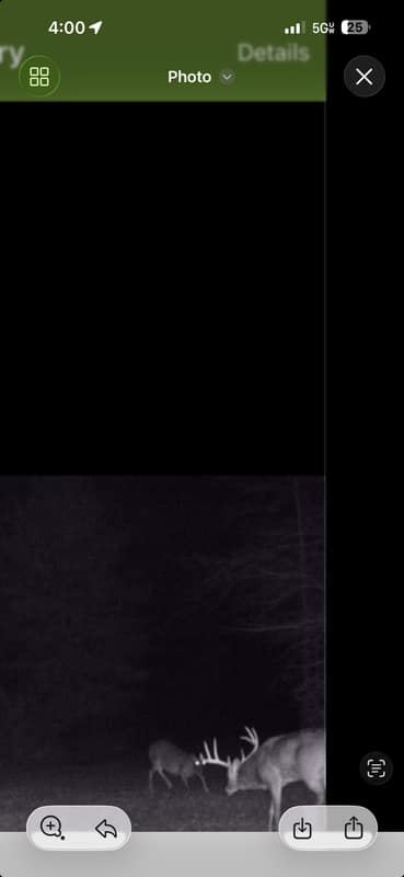 Screenshot 2026-08-17 at 4.00.30 PM