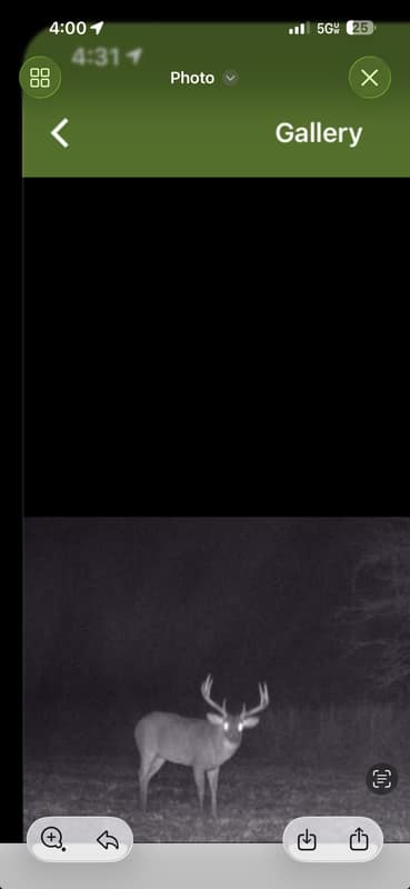 Screenshot 2026-08-17 at 4.00.42 PM