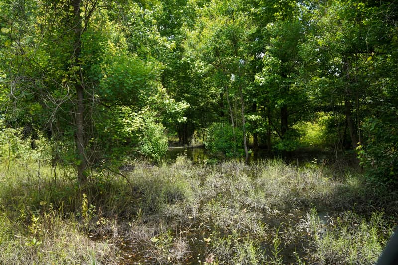 DSC03130