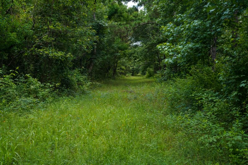 DSC03136