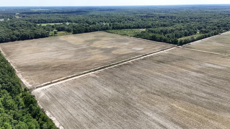 default