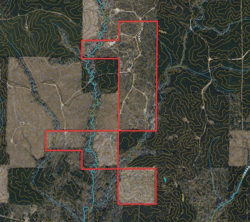 Screenshot 2026-02-10 111317