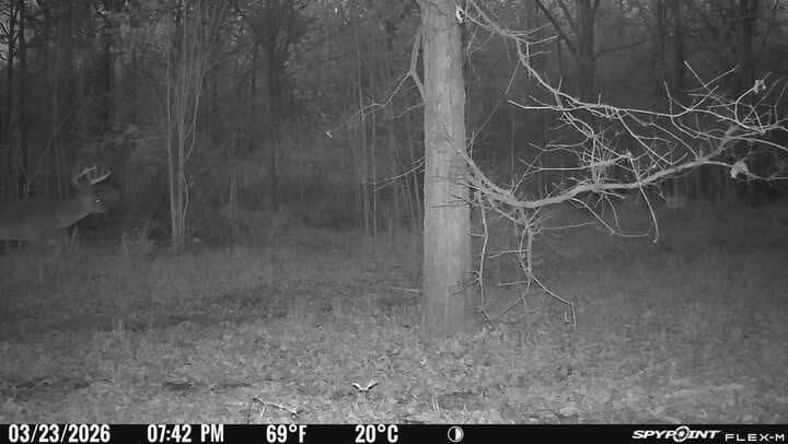trail cam