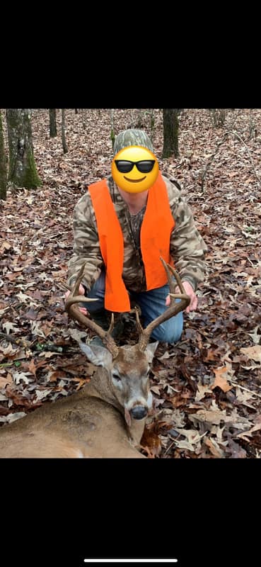 deer pic