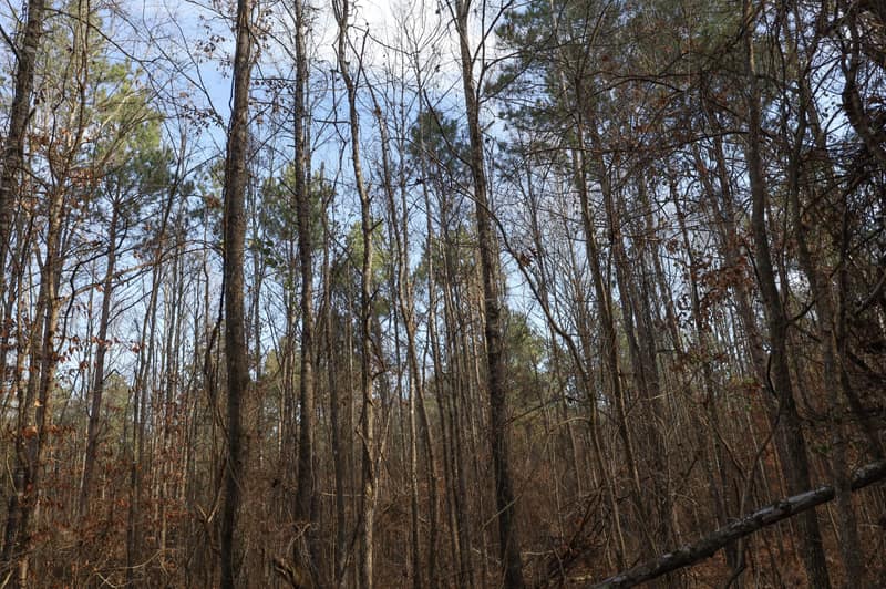 3-IMG_5714