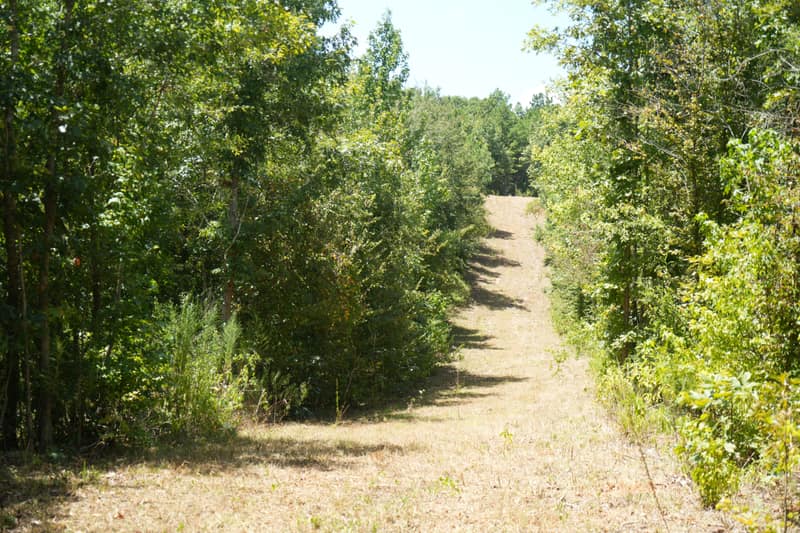 7R507424