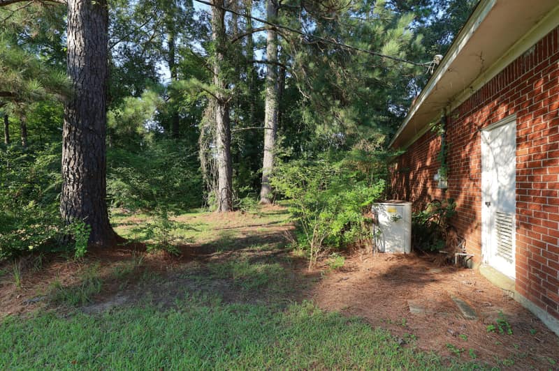 IMG_5347