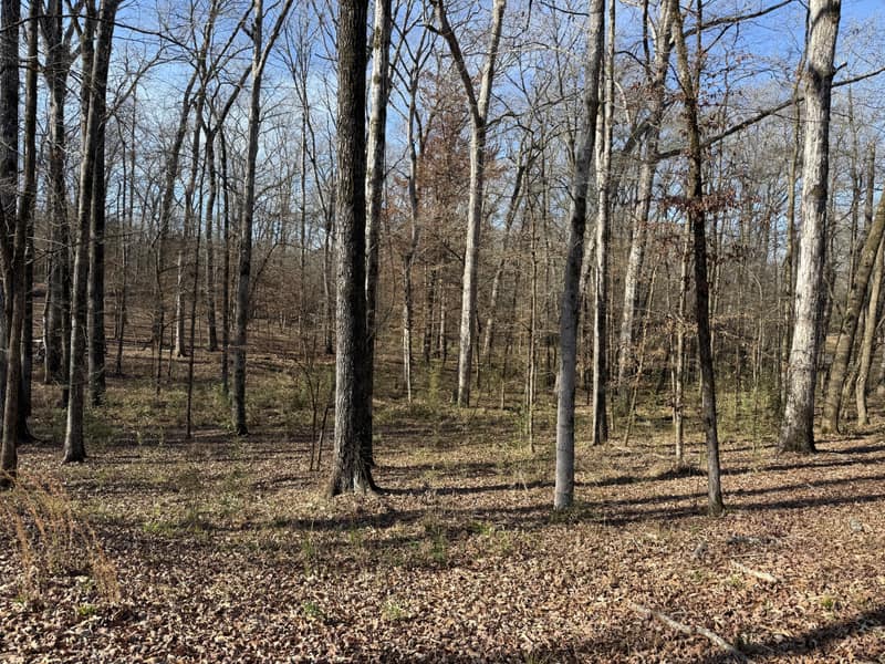 31-IMG_7991