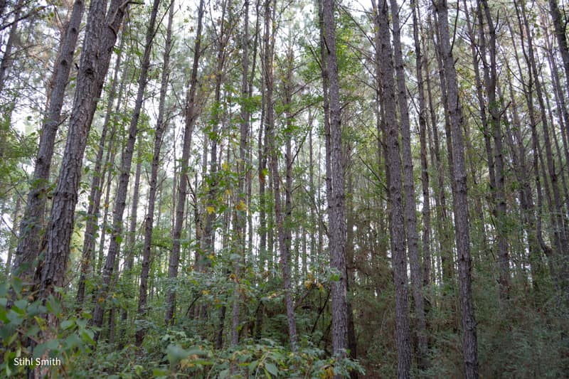 DSC00050