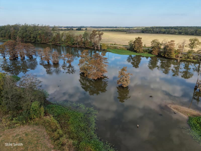 DJI 20261007084858 0059 D