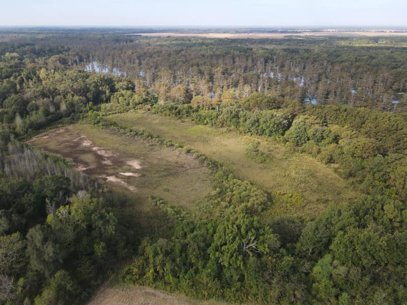 dji fly 20261007 094050 849 1791384065246 photo