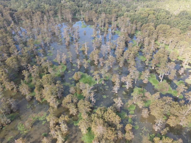 dji fly 20261007 094140 850 1791384116292 photo