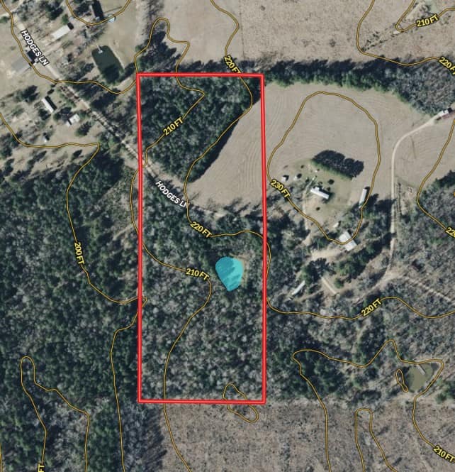 Screenshot 2026-03-02 111001